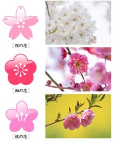 桜 違い 梅 梅と桜と桃の違い すぐわかる花の見分け方